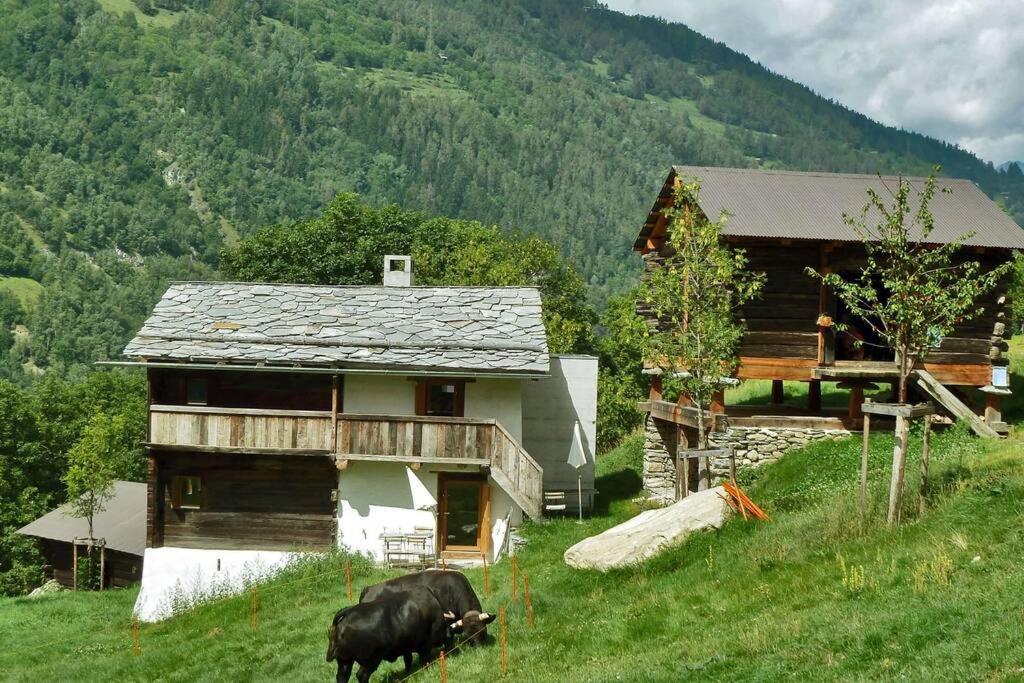 Appartement "Le Ver Luisant" A Saint-Martin, Val D'Herens, Valais ภายนอก รูปภาพ